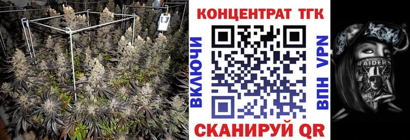 ТГК вейп закладки Сальск